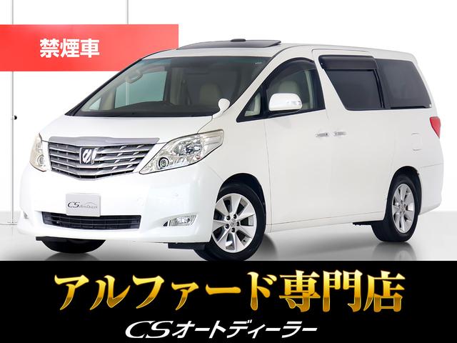 ȥ西 ե 350G Lѥå [] ر AT