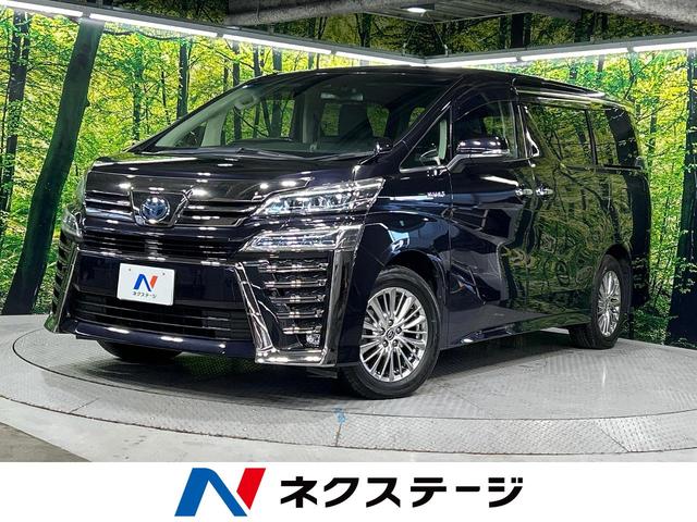 ȥ西 եϥ֥å ZR Gǥ [] ر ݾڴ֤ 3 AT