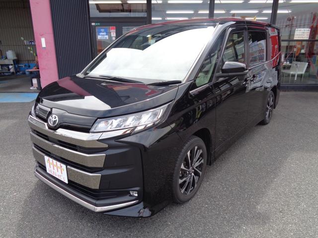 ȥ西 Υ SZ [] ݾڴ֤ 24 AT