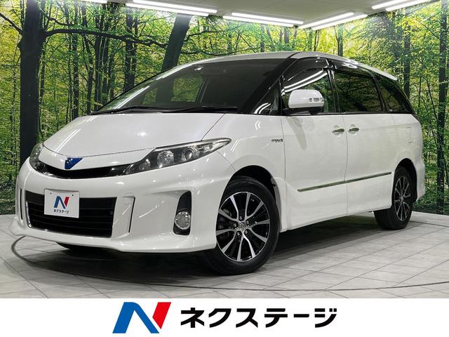 ȥ西 ƥޡϥ֥å 饹 [] ر ݾڴ֤ 3 AT