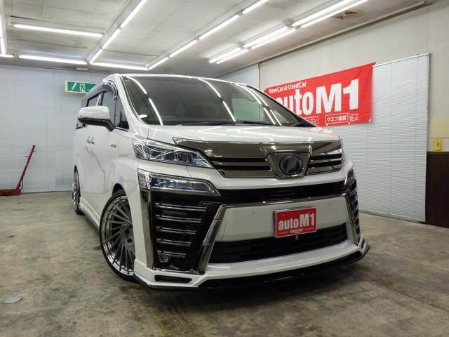 ȥ西 եϥ֥å ƥ֥饦Z [] ر ݾڴ֤ 3 AT