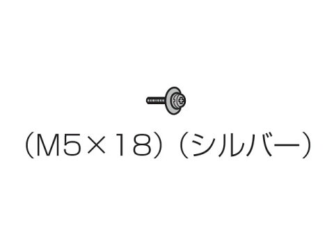 【定形外郵便対応可能】Panasonic（パナソニック）液晶テレビ用　固定用ねじ（M5×18）1本入り　シルバー部品コード：XYN5+F18FN