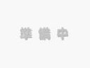 【定形外郵便対応可能】　HITACHI　日立掃除機用　ハケ(