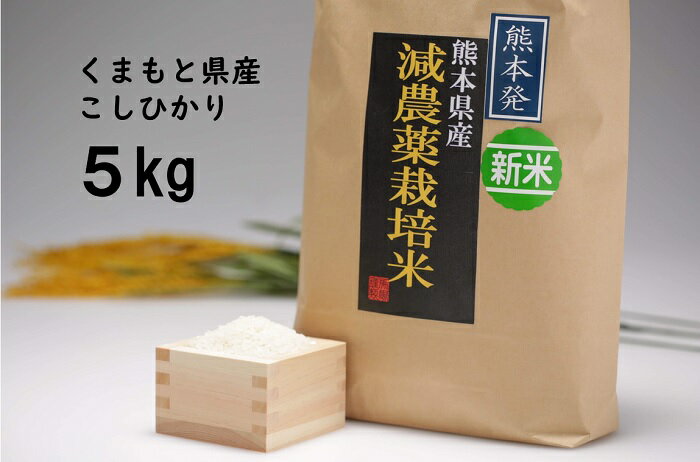 【あす楽対応】【減農薬栽培】【2020年産】コシヒカリ 令和2年産 5kg 白米 熊...