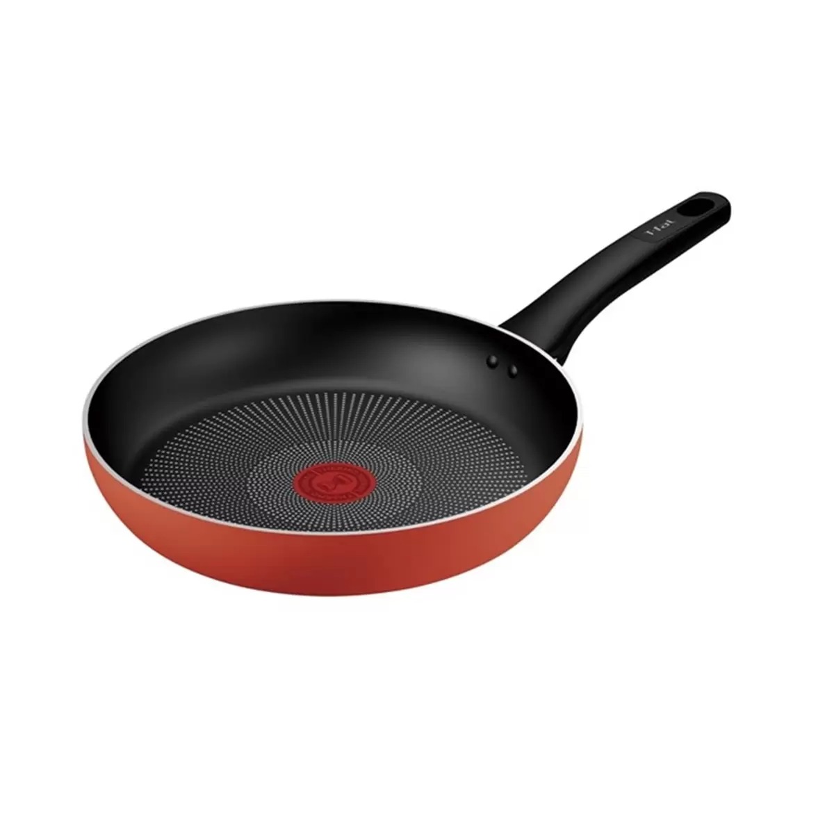 �ƥ��ե����� �ե饤�ѥ� 26cm ��ӡ� �����ȥ�