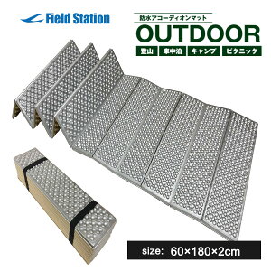 キャンピングマット 折りたたみ 式 蛇腹式 シングルサイズ レジャーマット キャンプマット 寝袋マット 登山用 車中泊マット レジャーシート 軽量 コンパクト アウトドア レジャー キャンプ ピクニック ヨガ 行楽 コット用 車中泊 防災 蛇腹マット マット 運動会