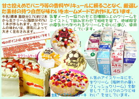フルーツアイスケーキ7号バースデー誕生日記念日パーティーひんやりギフトプレゼントアイスクリームケーキ大人大きいケーキ