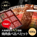 牛肉 大和榛原牛 店長 おすすめ 焼肉セット 6種盛り 600g 食べ比べ 焼肉 セット みすじ ウデ ロース イチボ カルビ モモ 各100g 送料無料 国産 焼肉セット詰め合わせ 高級焼肉セット お取り寄せグルメ高級焼肉 最高級肉 高級焼き肉 絶品お取り寄せ 冷凍便