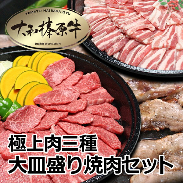 極上肉 三種 大皿盛り 焼肉セット 1kg（1.0kg / 約7～8人前） 大和榛原牛A5カルビ500g ＋ 大和美豚の豚バラ250g ＋ 豚トロ250g 送料無料 牛肉 黒毛和牛 A5 大和美豚 焼肉 焼き肉 ヤキニク BBQ カルビ かるび RCP 冷凍便