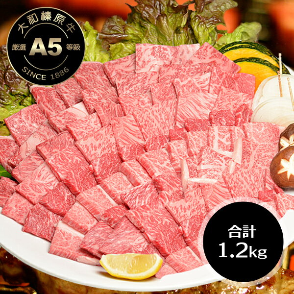 牛肉 肉 A5 プレミアム 焼肉 バーベキュー セット 稀少部位も入った1.2kg！＋特別オプション（サーロインステーキ300g）付き！ 送料無料 焼肉 焼き肉 ヤキニク BBQ カルビ かるび RCP