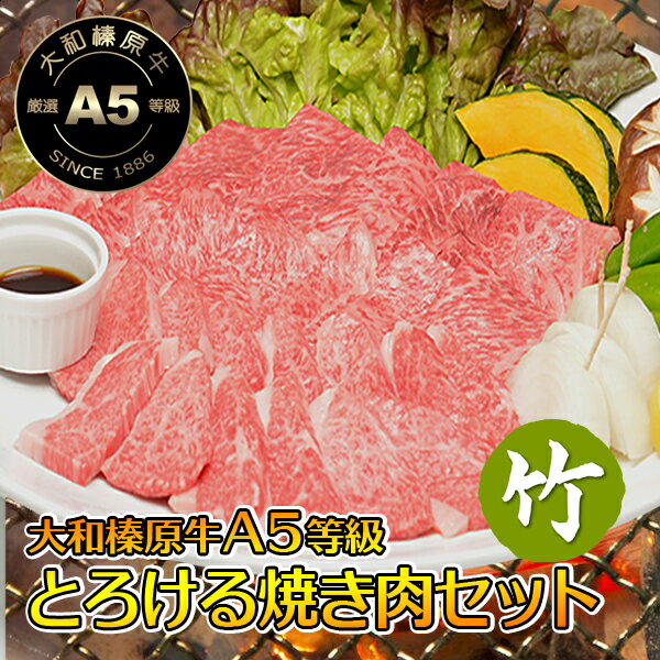 とろける 黒毛和牛 焼肉 竹コース＋追加オプション 900g