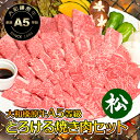 とろける 焼肉セット 松コース 750g （カルビ 250g＋極上バラ250g＋霜降り肉 250g / 4～5人前） 送料無料 牛肉 黒毛和牛 焼肉セット 焼肉 A5 焼き肉 ヤキニク BBQ カルビ かるび あす楽対応 冷凍便