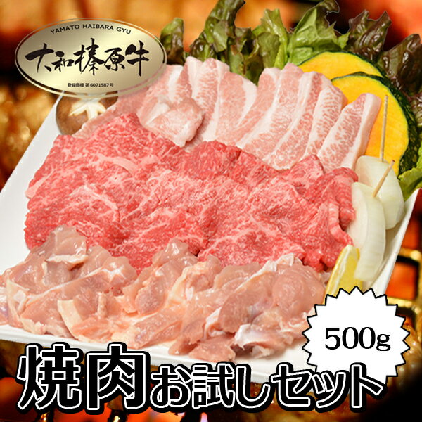 焼肉お試しセット たっぷり500g （約