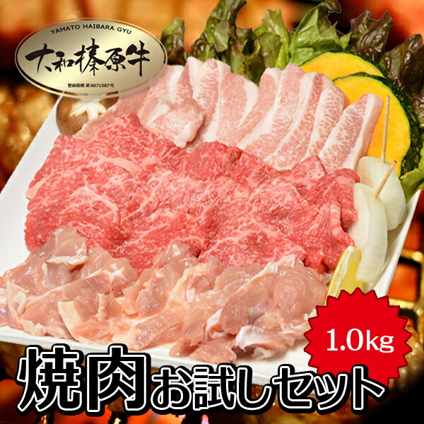 肉 牛肉 お試し 焼肉セット 焼肉大