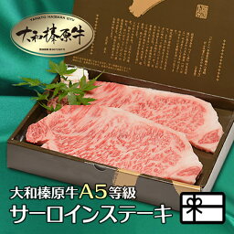 うし源本店 ステーキ ギフト 牛肉 贈答 贈答品 大和榛原牛 サーロイン 化粧箱入 送料無料 贈り物 ステーキ 贈答用 肉 黒毛和牛 A5 内祝い お祝い お礼 誕生日 プレゼント あす楽ギフト 冷凍便