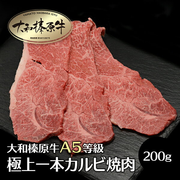 商品名 大和榛原牛（黒毛和牛A5等級）の極上一本カルビ（焼き肉・炙り用） 名称 大和榛原牛極上一本カルビ おすすめポイント とろける食感を気軽に楽しめる上カルビ。 口いっぱいに広がる素材の旨味・甘みをご堪能ください。 産地名 長崎県 内容量 1枚（約200g） 消費期限 冷凍保存（-18℃以下）：約30日間 保存方法 冷蔵 配送方法 冷凍便 加工業者 うし源本店奈良県宇陀市榛原萩原2482 備考 　