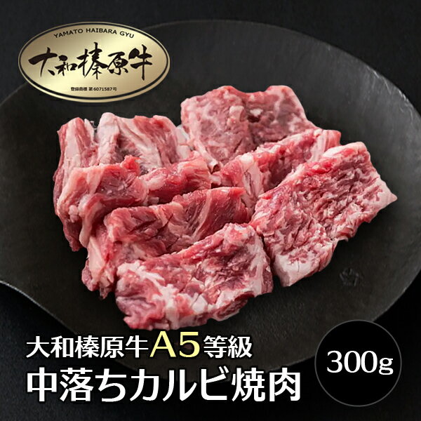 商品名 大和榛原牛（黒毛和牛A5等級）の中落ちカルビ（焼き肉用） 名称 大和榛原牛の中落ちカルビ おすすめポイント 中落ちカルビは、あばらの間の肉で、骨から肉を切り出した後の形が下駄（ゲタ）に似ていることから、一般にゲタカルビとも呼ばれます。あばらの間からしか取れない稀少性とその柔らかさ、甘みが強いことから人気の部位です。 産地名 長崎県 内容量 300g 消費期限 冷凍保存（-18℃以下）：約30日間 配送方法 冷凍便 加工業者 うし源本店奈良県宇陀市榛原萩原2482 備考 　