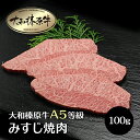 牛肉 肉 大和榛原牛 みすじ 焼肉 100g単位 牛とろ 牛トロ ミスジ 牛肉 黒毛和牛 焼肉 A5 焼き肉 ヤキニク やきにく ホルモン ほるもん 冷凍便