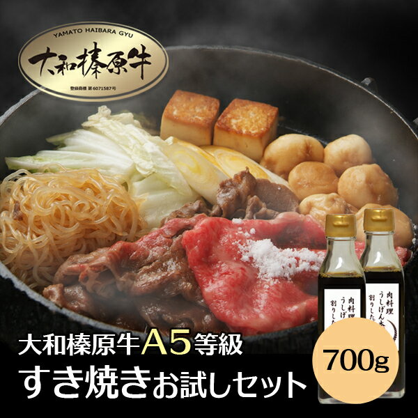 牛肉 すき焼き用 肉 肉料理『うし源』 すき焼き お試しセッ