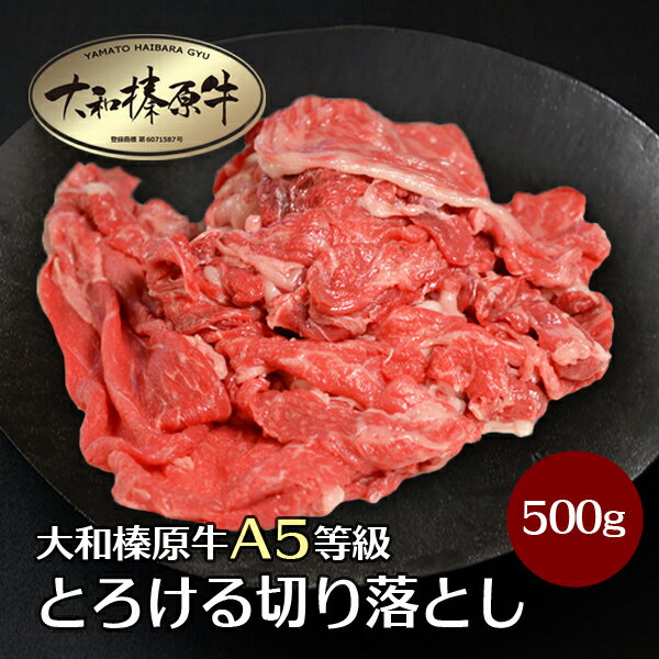 牛肉 肉 大和榛原牛 とろける切り落とし 500g 送料無料 楽天ランキング第1位 A5 黒毛和牛 A5 あす楽対応 冷凍便