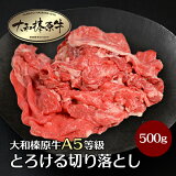 ڤ㤤ʪޥ饽  ¿ Ȥ ڤȤ  500g ̵ ŷ󥭥1  µ A5 б 