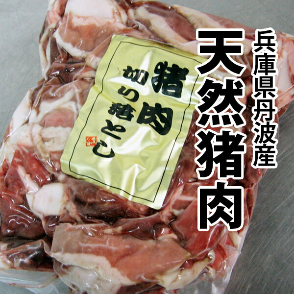 ジビエ 天然 猪肉 国産 お得な 切り落とし 500gパック！ ぼたん鍋 牡丹鍋 猪鍋 冷凍便