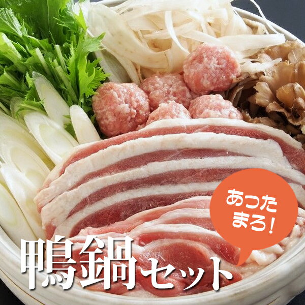 あったか 鴨鍋 セット （鴨ロース300g・肉団子5個・鴨鍋スープ180cc） カモ かも 国産 鴨肉 鴨鍋 冷凍便