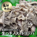 牛肉 肉 和牛ホルモン★生ハチノス・トリッパ 200g 国産 新鮮 ホルモン ほるもん 焼肉 焼き肉 ヤキニク やきにく RCP