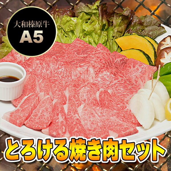 とろける 焼肉セット 竹コース 400g （カルビ200g＋極上バラ200g / 2〜3人前） 送料無料牛肉 黒毛和牛 A5 焼肉 焼き肉 ヤキニク BBQ カルビ かるび RCP あす楽対応