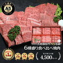 大和榛原牛 A5 焼肉セット 6種盛り 600g 黒毛和牛 送料無料 希少部位 ギフト BBQ 冷凍便