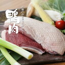 鴨 鴨肉 ロース 国産 正肉 1枚 ブロック 約500gお徳用 不定貫 カモ かも 鴨鍋 冷凍便