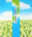 水出し夏玉露 緑茶 40g 八女茶 水出し お茶 玉露 熱中症対策 夏 緑茶 夏限定 水だし茶 美味しい 日本茶 水出し茶 深蒸し茶 急須 本格 厳選 高級 水出し煎茶 水出し緑茶 水出しお茶 茶葉 冷茶(4)