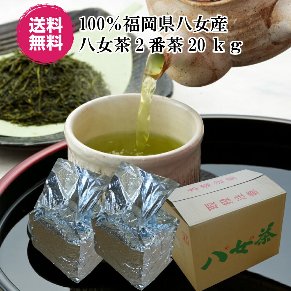 日本茶 煎茶 八女茶 業務用 2番茶 茶 20kg 10kg×2袋 茶葉 茶 徳用 緑茶 ポイント消化 お茶 深蒸し茶 送料無料 農家のお茶 水出し茶 【店頭受取対応商品】