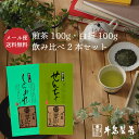 煎茶 白折 送料無料 100g ×2本 お茶 緑茶 日本茶 八女茶 茶葉 煎茶