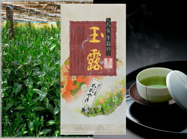 2018年新茶予約 八女玉露 定庵かがやき100g 福岡県 八女茶 茶葉 茶 日本茶 贈答 内祝 ポイント消化