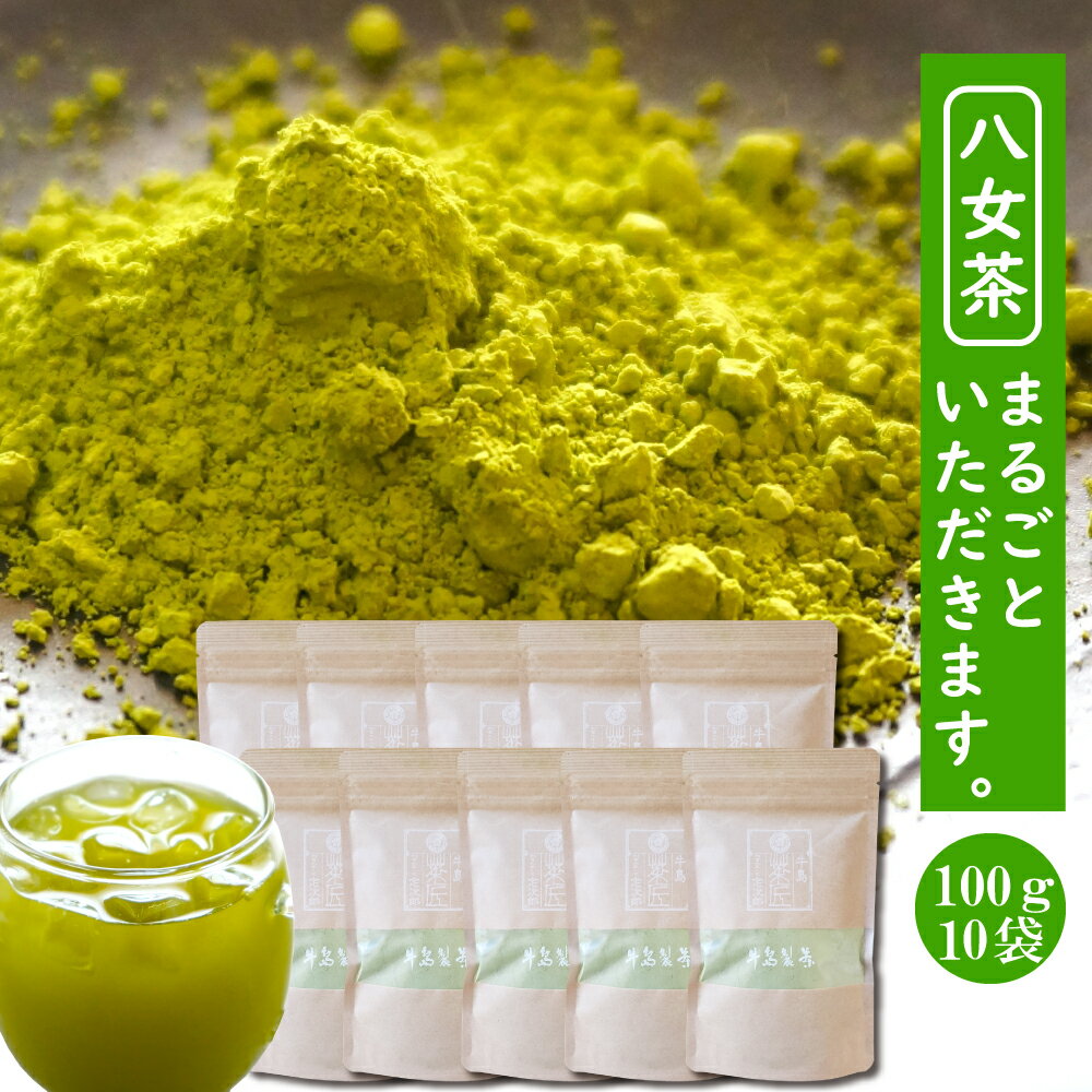 緑茶 粉末 煎茶 送料込み 日本茶 業務用 煎茶粉末 1kg 100g×10本 粉末茶 煎茶パウダー お茶 エピガロカテキンガレード 緑茶 日本茶 八女茶 挽き茶 家庭用 大容量