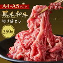 \衝撃の999円!/ 【お一人様3パックまで】【 最高級 A4 A5和牛 白老牛 切り落とし 250g 】 黒毛和牛 牛肉 肉 A4 A5 北海道産 冷凍 霜降...