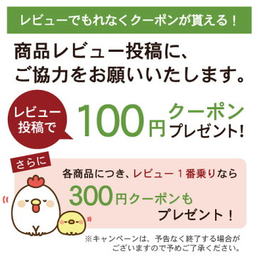 【あす楽】シコリーブ スキンローション【日本オリーブ株式会社 公式】化粧水 保湿 オリーブ オリーブオイル シコン 紫根 ノンアルコール 敏感肌 オリーブ 保湿化粧水 化粧品 スキンケア 美容 美容オイル ボディローション 保湿ローション 基礎化粧品