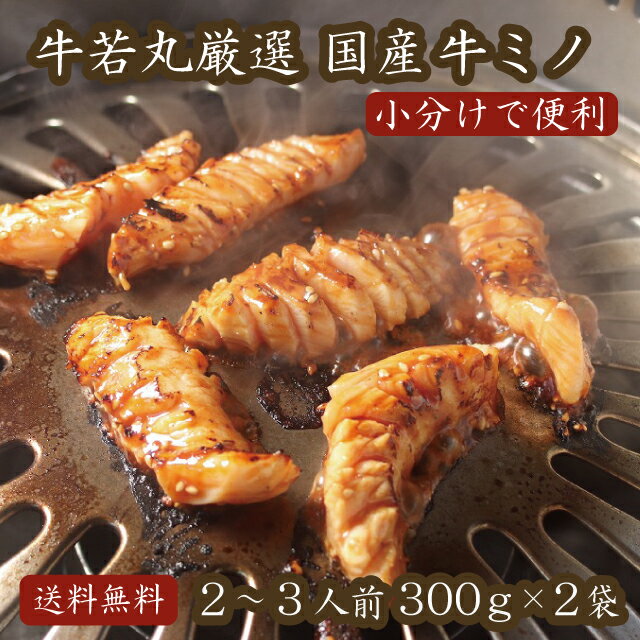 厳選国産牛ミノ（味噌だれ付属）300g×2 小分け【牛みの みの 父の日 バーベキュー BBQ 肉の ...