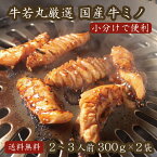 厳選国産牛ミノ（味噌だれ付属）300g×2 小分け【牛みの みの 母の日 ゴールデンウィーク GW バーベキュー BBQ 肉の日 ギフト お祝い 肉 ホルモン 上ミノ 焼き肉 焼肉 お肉 牛肉 国産牛 高級 おつまみ お取り寄せ グルメ 食べ物 内祝い】