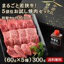 若狭牛 お試し5種セット 300g タレ付き カルビ モモ 焼肉 A4 A5 等級 ブラックフライデー お歳暮 BBQ 肉の日 黒毛和牛 和牛 赤身 お肉 牛肉 ギフト 食べ物 お取り寄せ グルメ 国産 お祝い 内祝い 誕生日