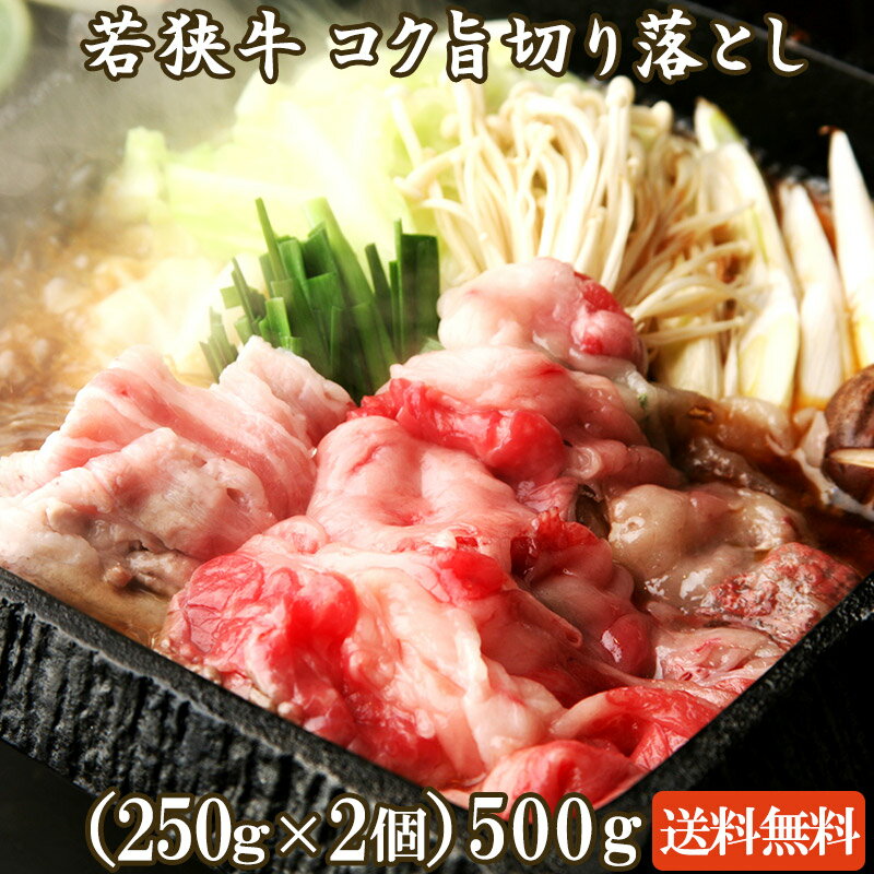 若狭牛 コク旨切り落とし 500g(250g×2) A4 A5等級 【母の日 父の日 バーベキュー BBQ 肉の日 ギフト 食..