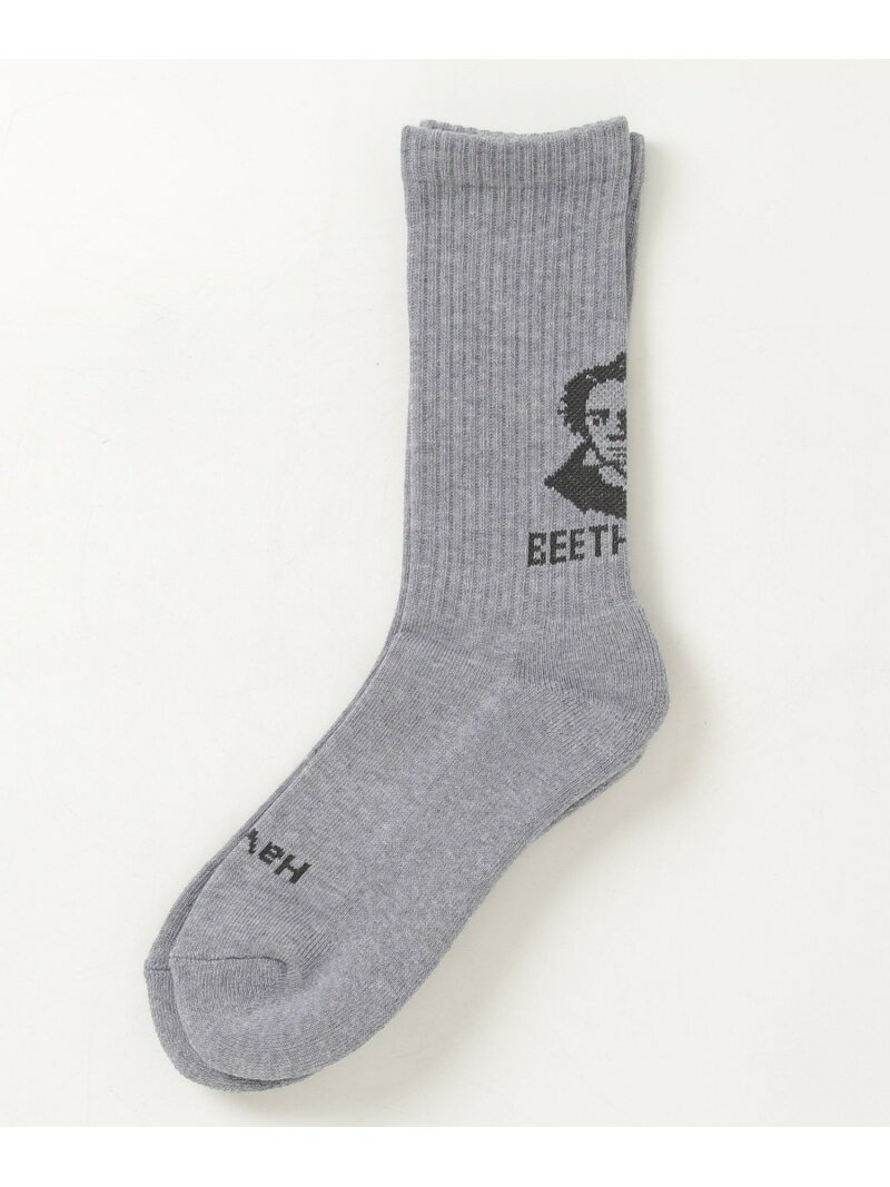 ROSTER SOX/ロスターソックス BEETHVEN SOCKS メンズ レディース BEAVER ビーバー 靴下・レッグウェア 靴下 グリーン ブルー