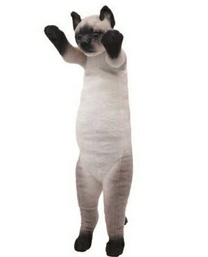 たっちぃZoo にゃんこ シャム猫 たっちぃZOO ニャンコ しゃむねこ　株式会社リード正規品　アニマル ヌイグルミ ぬいぐるみ 犬 わんこ ネコ 猫 本物 たっちい にゃんこ 人気 本物 たっちいのサムネイル