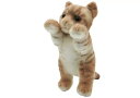 たっちぃZoo にゃんこ MINI エキゾチック キーチェーン 定形外OK たっちぃ ZOO 株式会社リード正規品 アニマル ヌイグルミ ぬいぐるみ キーホルダー 犬 わんこ ネコ 猫 本物 たっちい にゃんこ 人気 本物 キーホルダー プレゼント たっちいzoo ネコ 猫 mini