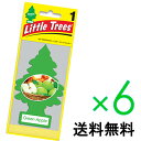 【ホールセール】グリーン アップル【まとめ買い】【リトルツリー】【Little Tree】【6枚セット送料無料】【Green Apple】 【芳香剤 車】
