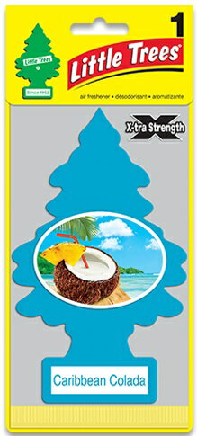 �ڥ�ȥ�ĥ꡼�ۡڥӥå���ȥ�ĥ꡼�ۡ�Little Tree�ۡ�BIG�ۡ�9����ۡ�4��ʾ������̵���ۡ�BIG��Littletree��