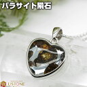 パラサイト 隕石 ペンダントトップ ケニア産 ハート 17mm 天然石 パワーストーンパラサイト隕石【ポーチ付き】【パワーストーン専門店 アクセサリー ネックレ...