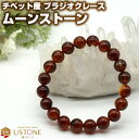 【20%OFFクーポン】プラジオクレース ムーンストーン ブレスレット AAA 10mm チベット産 天然石 パワーストーンシラー効果 フェルドスパー【ゴム交換永年無料 ポーチ付き 送料無料】