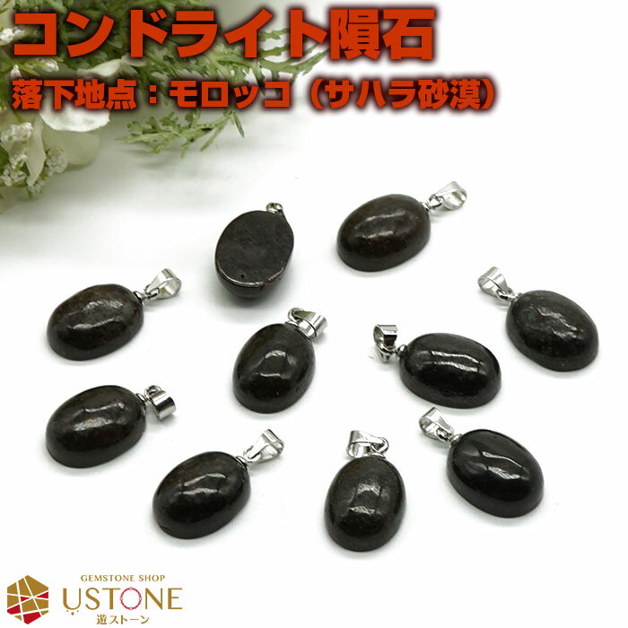 コンドライト ペンダント 隕石 ネックレス モロッコ産 サハラNWA869 天然石 パワーストーンメテオライト【あす楽】【パワーストーン専門店 占い 風水 石 ...